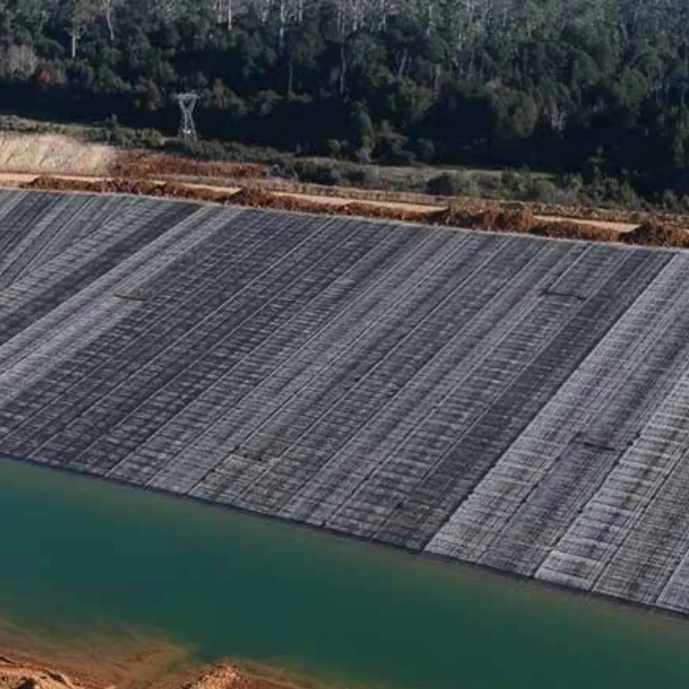 Geomembrane